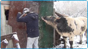 ДАВНО НУЖНО БЫЛО ЭТО СДЕЛАТЬ А У НАС КАК ОБЫЧНО....ЖИЗНЬ В ДЕРЕВНЕ