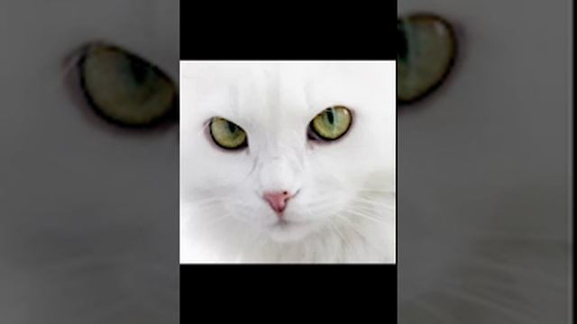 1.5 сек смотреть онлайн