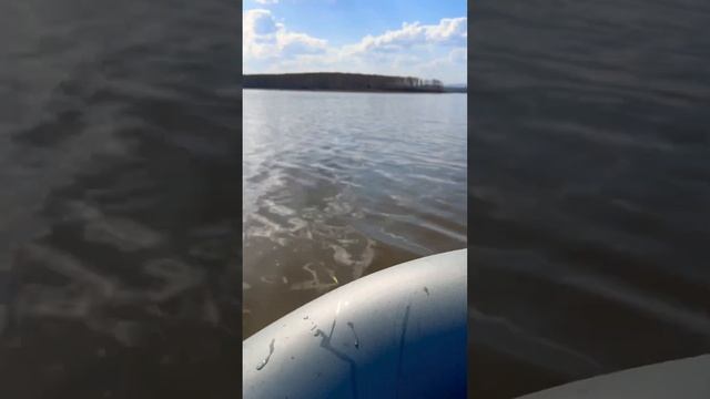 Go Fish #russia #nature #asmr #природа #рыбалка #beautiful #fishing #2024 #youtubeshorts #россия