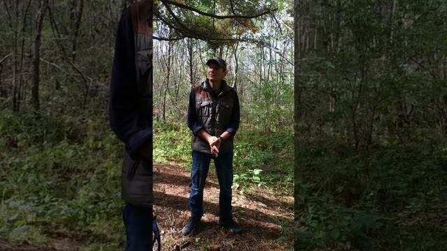 Творческая работа над собой. Для всех, кто любит Жизнь! смотреть онлайн