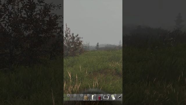 Сталкерские пельмени смотреть онлайн