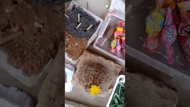 Той дастарханы смотреть онлайн