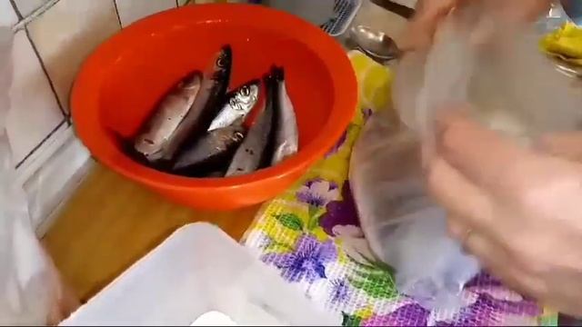 Жареная салака в панировке. Готовим на сковороде. смотреть онлайн