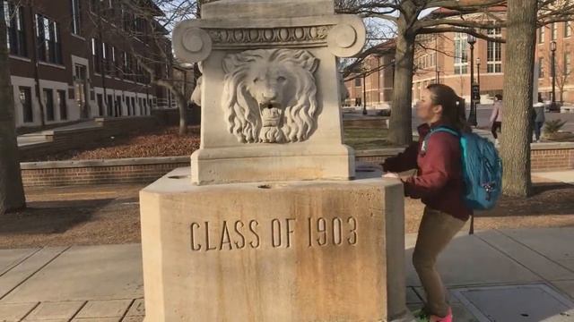 WHoMT Spotlight Video смотреть онлайн