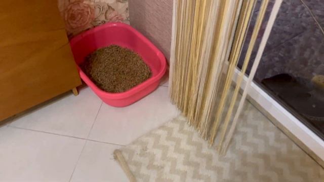 Пасмурные дни на Кубани. Живем в своем доме смотреть онлайн
