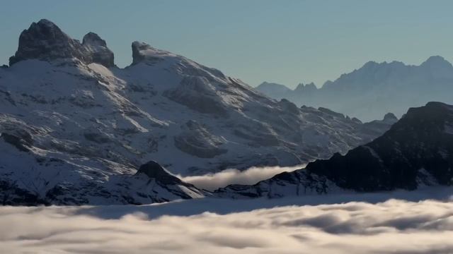 Saveliy Ad очередные препятствия на его пути. Господи помилуй / Grandenikо , Adamyan Самвел Адамян