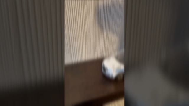 Полицейская машина. смотреть онлайн