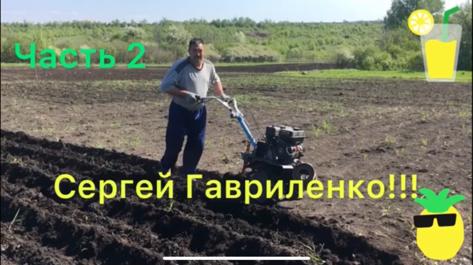 Часть 2 из3/ Посадка картофеля мотоблоком Нева-2 мб/ Засыпаю борозды дичковым окучником. смотреть онлайн