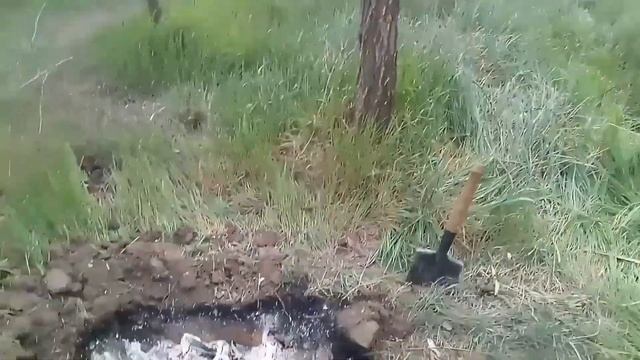 Шашлык, природа и нет никаких вирусов смотреть онлайн