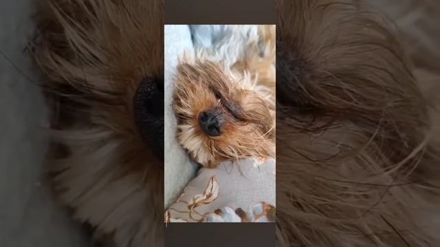💓 смотреть онлайн
