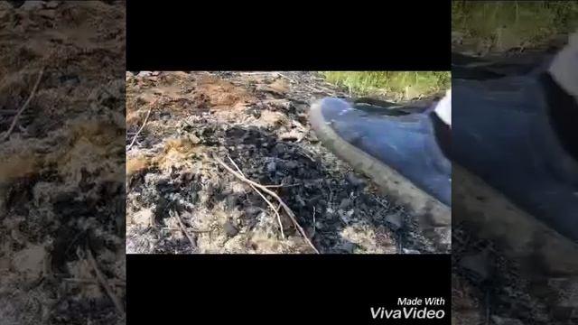 Asmr !!!Блин что случилось с голосом смотреть онлайн