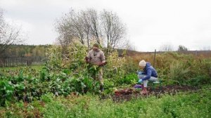 НАШ УРОЖАЙ НА ЗАИМКЕ 2024 | ОБНОВКИ НА КУХНЕ | ПАРИМСЯ В НОВОЙ БАНЕ | ДОМАШНИЕ ДЫНИ | СВЕЖЕЕ МЯСО