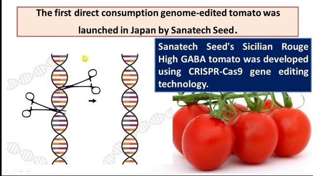 World's First Genome Edited Tomato by Japan /ICAR-NET/AFO/ICAR-JRF/SRF/IBPS-AFO/NABARD/HDO смотреть онлайн