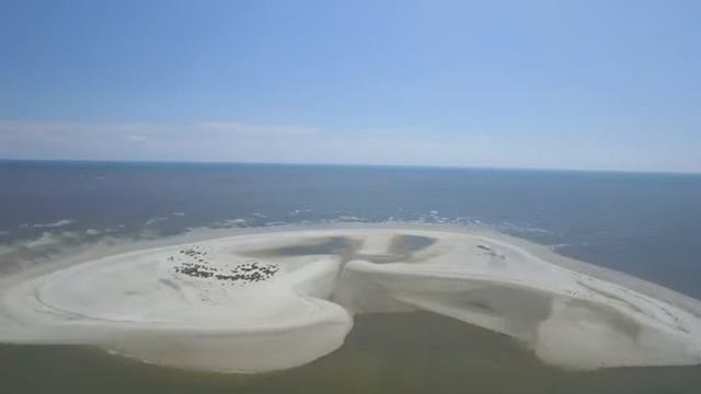 Drone Pelican Spit смотреть онлайн