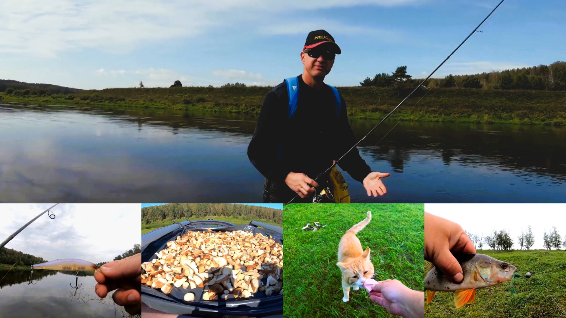 Три дня на рыбалке. Окунь, щука, грибы, кот попрошайка. смотреть онлайн