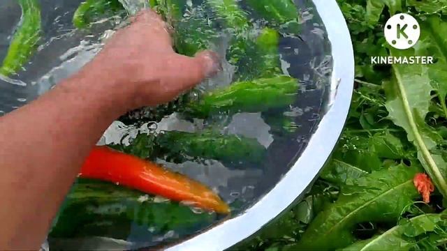 соседи, закрутки на зиму ☺ смотреть онлайн