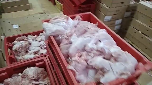 Будущая шаурма!!! смотреть онлайн