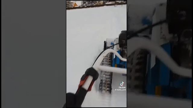 Прокладка трассы для собак с помощью гусениц Крутец! смотреть онлайн