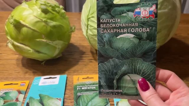 Отличный выбор! Все эти СОРТА КАПУСТЫ ПРОВЕРЕНЫ буду выращивать в 2023г смотреть онлайн