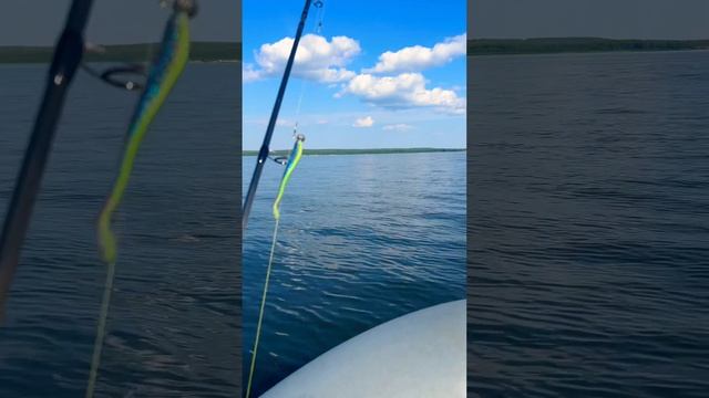 Иногда надо и приманки выгуливать #2024 #beautiful #озеро #russia #youtubeshorts #boating