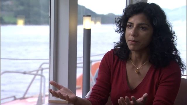 Raissa D'Sousa - What is Complexity in the Cosmos? смотреть онлайн