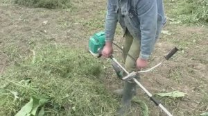 Как работает 2-Х ТАКТНАЯ бензокоса на 4-Х ТАКТНОМ масле _ работа _ последствия _ разборка