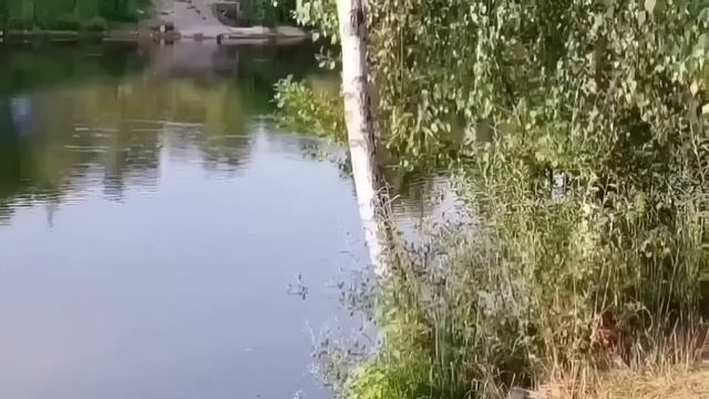 СКРЫВАЮТ СВОИ ПОХОЖДЕНИЯ. VREDINA LIFE. ОБЗОР.