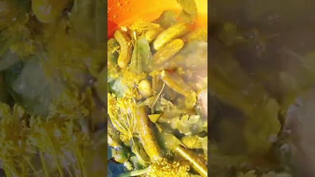 соленые огурцы на зиму смотреть онлайн