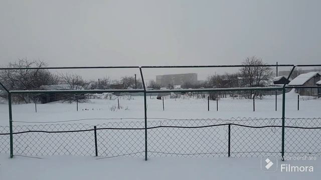 199. СКОТЧ помог дойти до дачи. смотреть онлайн