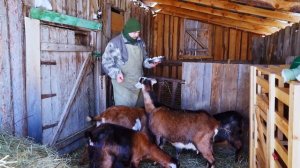 КУПИЛ 2 ДОМА В ДЕРЕВНЕ | СКОЛЬКО ОНИ ЕЩЁ ПРИНЕСУТ!? | ПОРА РАСШИРЯТЬСЯ