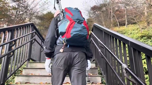 NIKKO day tour, best mountain in Tochigi, climbing 1500 stairs #Nikko #MountAkanegi #Japan смотреть онлайн