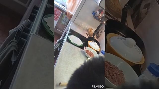 Делаем пельмени смотреть онлайн