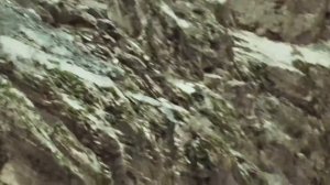 «Снежный барс» . 2023 год выпуска.