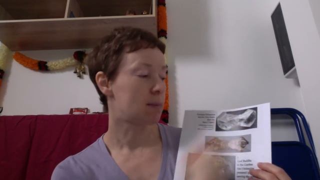 Мастер Камалашила - 1, занятие 1 смотреть онлайн