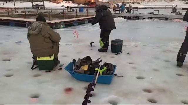 Запуск Спорт зона 9.01.25