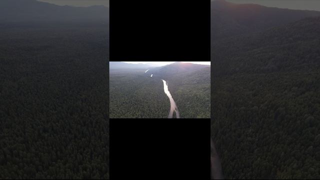 небольшие полеты и видео природы смотреть онлайн