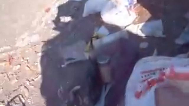 Рыбный суп BALIK ÇORBASI sibirya tarzında uha balık çorbası ve balık avımız смотреть онлайн