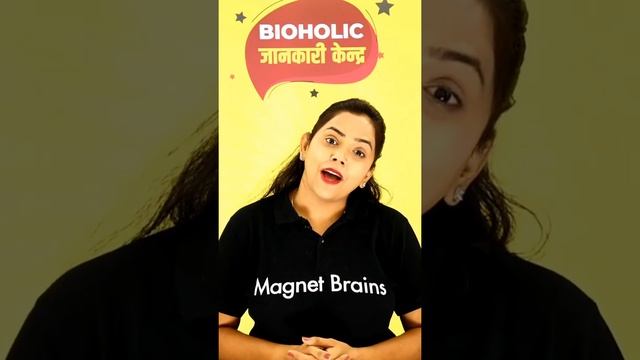 जानिए The Secret of Soup as a Starter! #Shorts #Magnetbrains #Bioholicjankarikendra смотреть онлайн