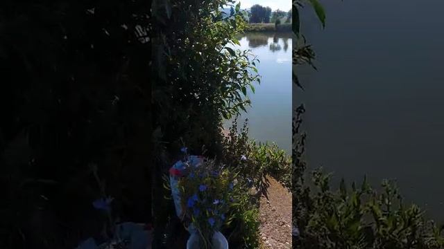 Озеро в Трансильвании
-2024 5 июня смотреть онлайн