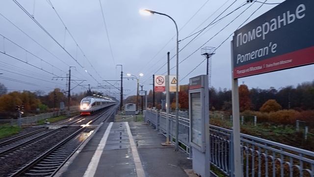 Сапсан :Санкт-Петербург-Москва.