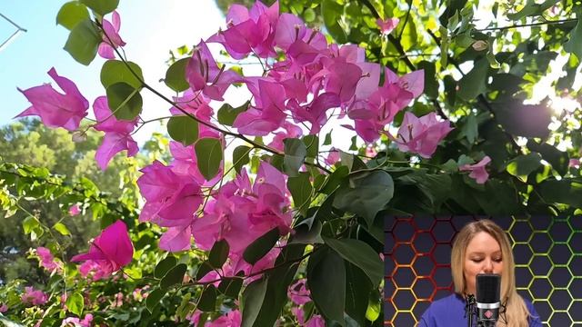 Придя в суд по разделу имущества, врач скорой помощи увидела улыбающихся мужа с любовницей... смотреть онлайн