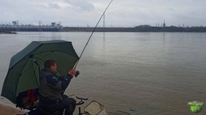 Рыбалка на фидер на Каме, Фидер на кресте, Весенняя рыбалка на фидер, Фидер в Перми, 10 кг леща.