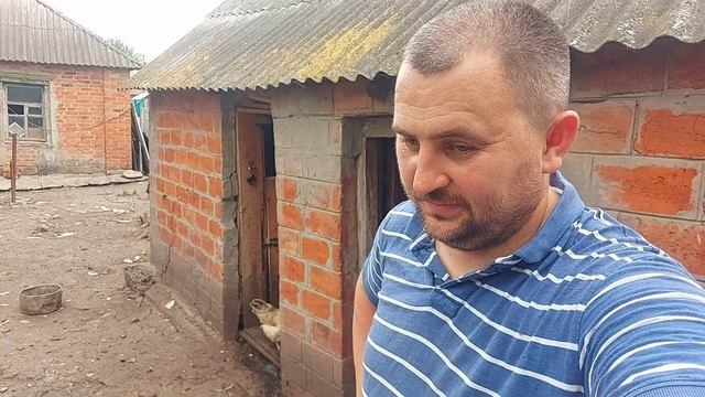 свадьбы) Манка и Овсянка замуж собрались смотреть онлайн