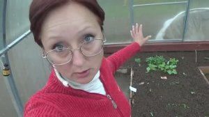 6 соток 14 мая 2020 года. Как я огурцы в теплице пикировала и ежевику Карака Блэк сажала..