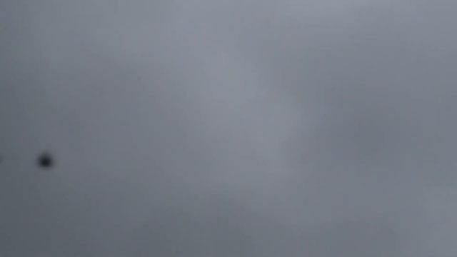 Без Волчары не обошлось .... смотреть онлайн