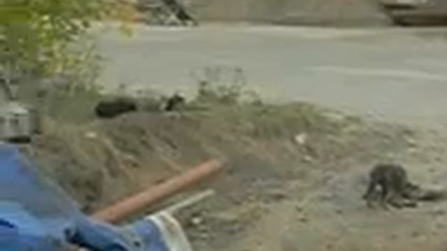 это голод смотреть онлайн