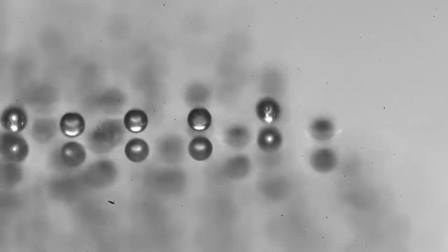 Левитация микрокапель над слоем жидкости. 98 град, поле зрения 700 мкм смотреть онлайн