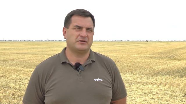На Миколаївщині збирають озимий ячмінь смотреть онлайн