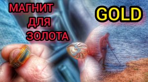 Золото. Нашёл металлоискателем. Нокта симплекс.