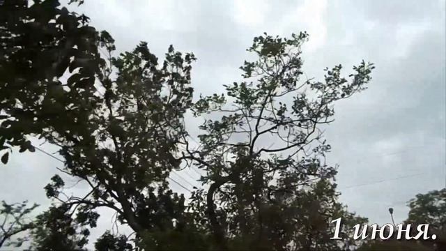 Анапа. Погода. 01.06.2017г. смотреть онлайн